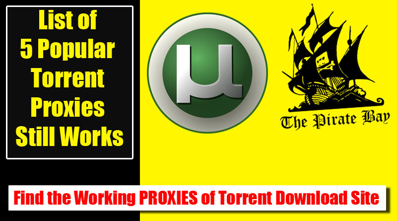 torrent sites still work